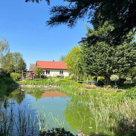 Agroturystyka Smulsko Przykona ภายนอก รูปภาพ